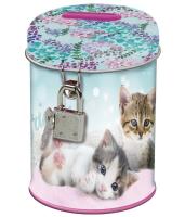 Skarbonka z kłódką Cleo i Frank 21. Wydawca: Derform. SmakLiter.pl Opakowanie Skarbonka z kłódką Cleo i Frank 21