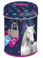 Skarbonka z kłódką Konie 17 DERFORM. Wydawca: Derform. SmakLiter.pl Opakowanie Skarbonka z kłódką Konie 17 DERFORM