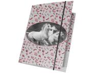 Opakowanie Teczka z gumką A4 PP19HS-109 PASO