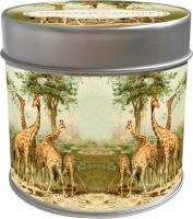 Opakowanie Zapachowa świeczka 118 - żyrafy - zapach pomarańcz