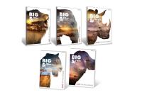 Opakowanie Zeszyt 32K kratka Big 5 (12szt)