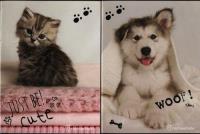 Opakowanie Zeszyt A4 Rachel Hale 54 kartki w kratkę 10 sztuk