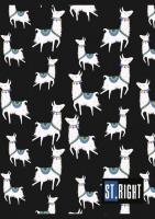 Opakowanie Zeszyt A5 St.Right 32 kartek w kratkę 15 sztuk