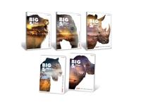 Opakowanie Zeszyt A5/60K kratka Big 5 (10szt)