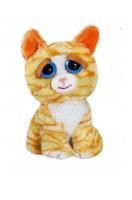 Opakowanie Feisty Pets Orange Cat