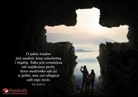 Kartka - O jakże trudno jest znaleźć żonę.... Wydawca: Bogulandia. SmakLiter.pl Opakowanie Kartka - O jakże trudno jest znaleźć żonę...