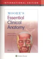 Moore's Essential Clinical Anatomy Sixth edition, International Edition. Autor: Agur Anne M.R., Dalley Arthur F.. SmakLiter.pl Okładka książki Moore's Essential Clinical Anatomy Sixth edition, International Edition