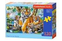 Puzzle 120 Tigers by the Stream CASTOR. Wydawca: Castorland. SmakLiter.pl Opakowanie Puzzle 120 Tigers by the Stream CASTOR