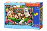 Puzzle 180 Pets in the Park CASTOR. Wydawca: Castorland. SmakLiter.pl Opakowanie Puzzle 180 Pets in the Park CASTOR