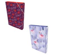 Opakowanie Teczka Box A4 na gumkę Moderno 2 wzory