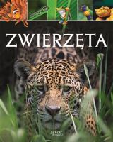 ZWIERZĘTA. Autor: Opracowanie zbiorowe. SmakLiter.pl Okładka książki ZWIERZĘTA