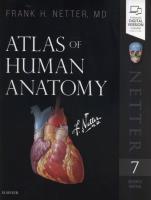 Atlas of Human Anatomy 7th Edition. Autor: Netter Frank H.. SmakLiter.pl Okładka książki Atlas of Human Anatomy 7th Edition