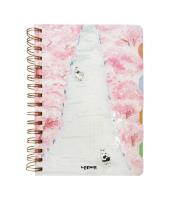 Opakowanie Kołonotes A5/124K Koty na drodze