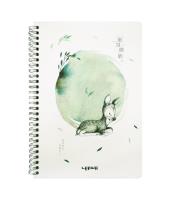 Opakowanie Kołonotes B5/68K Sarna