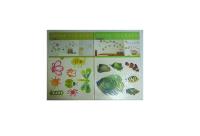 Opakowanie Naklejka 33x48 Motylki PENMATE