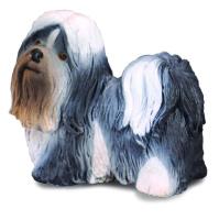 Opakowanie Pies rasy Shih Tzu
