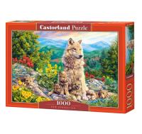 Puzzle 1000 New Generation CASTOR. Wydawca: Castorland. SmakLiter.pl Opakowanie Puzzle 1000 New Generation CASTOR