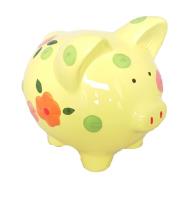 Opakowanie Skarbonka ceramiczna Świnka XL mix