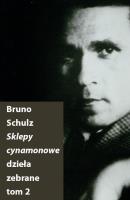 Sklepy cynamonowe. Dzieła zebrane T.2. Autor: Bruno Schulz. SmakLiter.pl Okładka książki Sklepy cynamonowe. Dzieła zebrane T.2