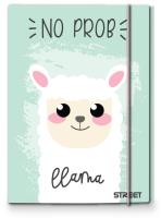 Opakowanie Teczka A4 z gumką Pink Street