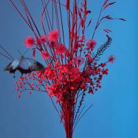 Z dolnej półki. Wydawca: Agora. SmakLiter.pl Opakowanie Z dolnej półki