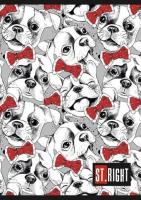 Opakowanie Zeszyt A5 w linie podwójną dwukolorową 32 kartki 15 sztuk