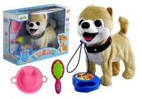 Opakowanie Interaktywny Piesek Na Smyczy + Akcesoria Husky