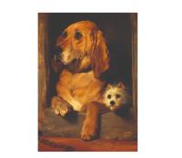 Opakowanie Karnet 17x14cm z kopertą Dignity and Impudence