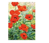 Opakowanie Karnet B6 z kopertą La Mer Trois