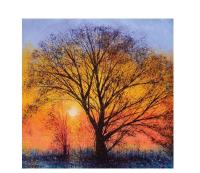 Opakowanie Karnet kwadrat z kopertą The Big Tree