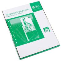 Opakowanie Koszulka A4 w kartonie 55mic 100szt D.RECT