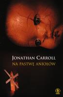Na pastwę aniołów. Autor: Jonathan Carroll. SmakLiter.pl Okładka książki Na pastwę aniołów