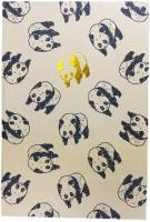 Opakowanie Notes A5 Panda Time Laps ROZETTE