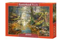 Puzzle 2000 Wspomnienie z jesiennego lasu CASTOR. Wydawca: Castorland. SmakLiter.pl Opakowanie Puzzle 2000 Wspomnienie z jesiennego lasu CASTOR
