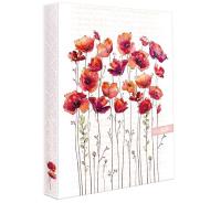 Opakowanie Segregator A4 Save the bees ARGUS