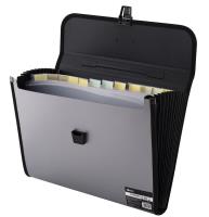 Opakowanie Teczka A4 12 przegródek szara D.RECT