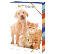 Opakowanie Teczka szkolna A4 Best Friends ARGUS