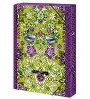 Opakowanie Teczka szkolna A4 Catalina Estrada ARGUS