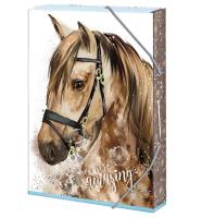 Opakowanie Teczka szkolna A5 You are amazing ARGUS