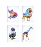 Opakowanie Zeszyt Animal Earth A5/80K kratka (10szt) STRIGO