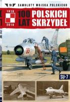 100 lat polskich skrzydeł t.19. Autor: Opracowanie zbiorowe. SmakLiter.pl Okładka książki 100 lat polskich skrzydeł t.19