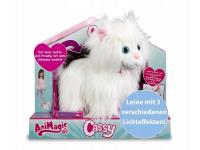 Opakowanie AniMagic Cassy Refresh