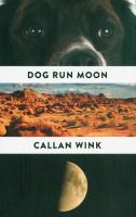 Dog Run Moon. Autor: Wink Callan. SmakLiter.pl Okładka książki Dog Run Moon