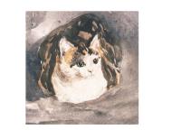 Opakowanie Karnet kwadrat z kopertą Cat