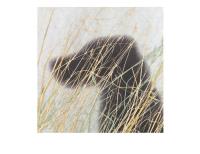 Opakowanie Karnet kwadrat z kopertą Dog