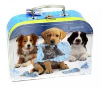 Opakowanie Kuferek szkolny 25 Patrol Afganist Cat