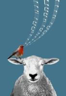 Opakowanie Notes GEE The Song About Meee NARCISSUS