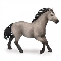 Opakowanie Ogier rasy Quarter