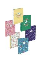 Opakowanie Segregator A4/4R Lusa AMBAR