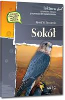 Sokół GREG. Autor: Boccaccio Giovanni. SmakLiter.pl Okładka książki Sokół GREG
